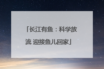 长江有鱼：科学放流 迎接鱼儿回家